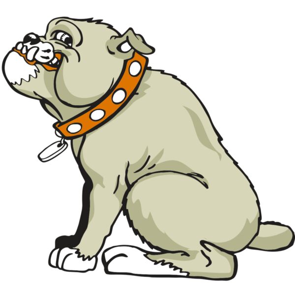 AR BDOG 26 RC Thumbnail