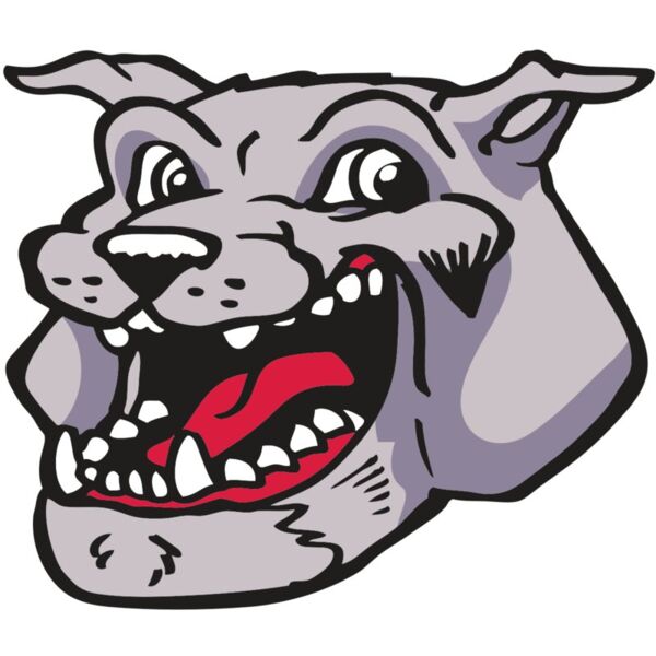 AR BDOG 24 RC Thumbnail